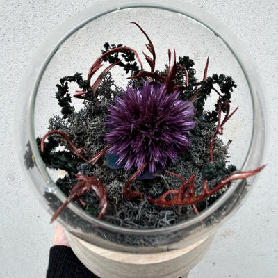 Bulle fleurs stabilisées noir et violet 2