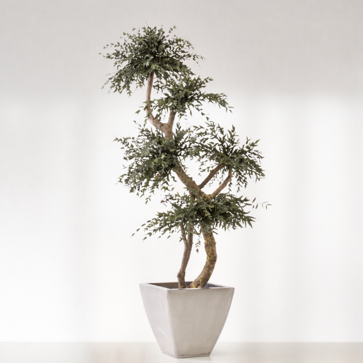 Arbre topiaire stabilisé 5 et 7 sphères