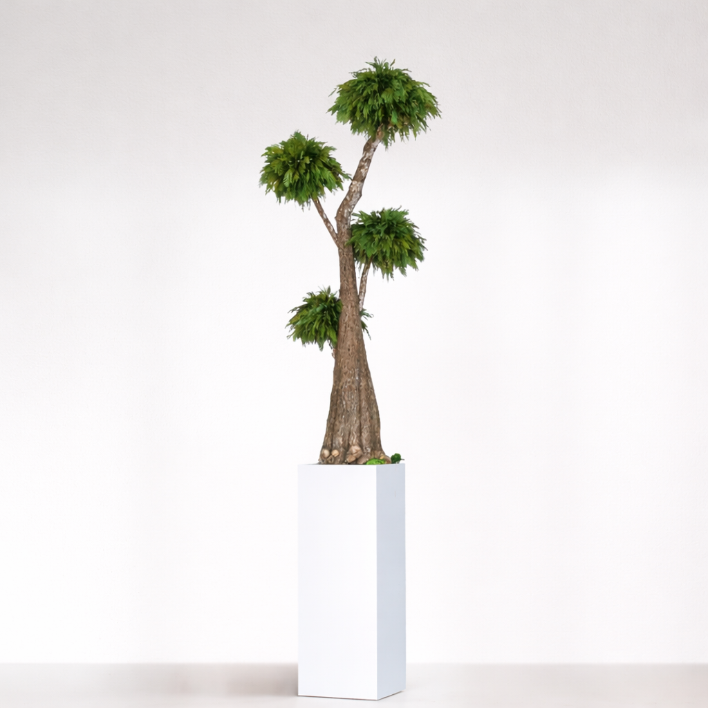 Jumbo Thuja Stabilisé