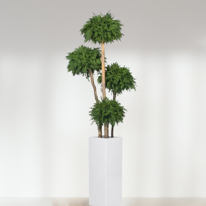 Arbre topiaire stabilisé 4 sphères