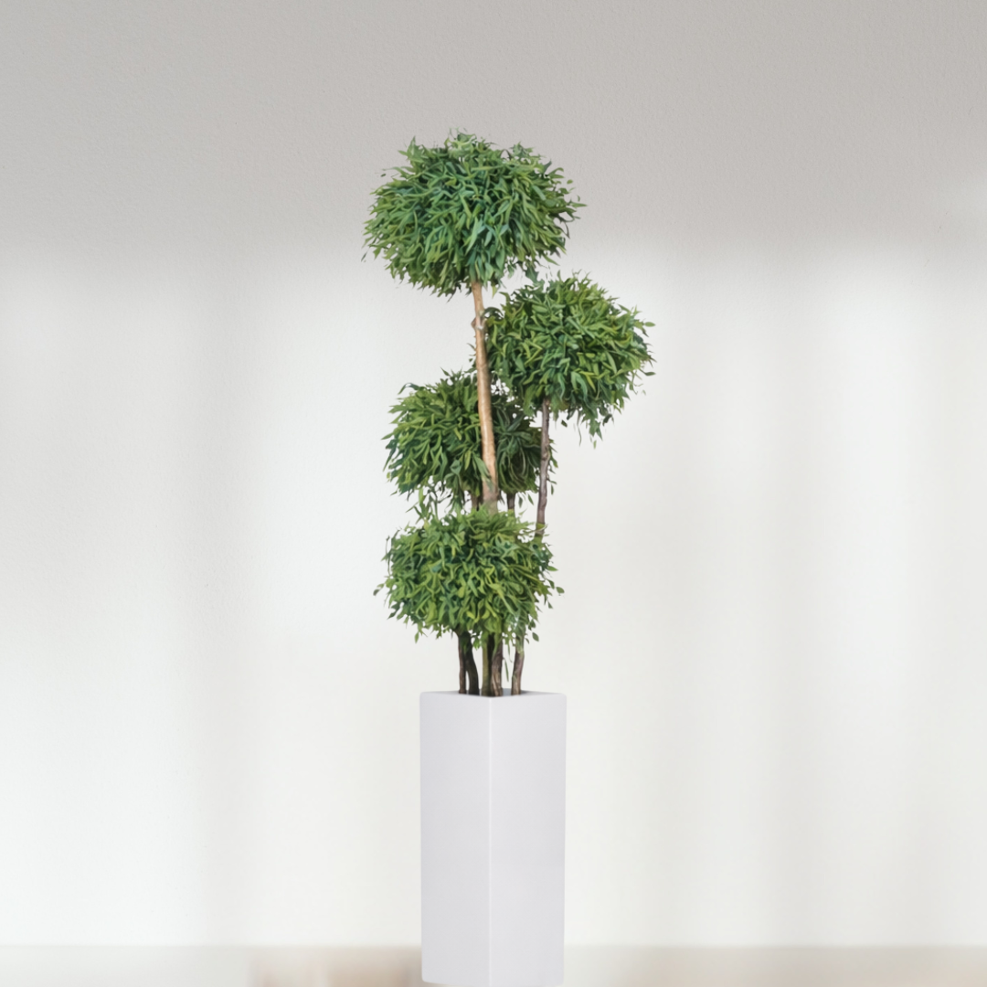 Arbre topiaire stabilisé 4 sphères