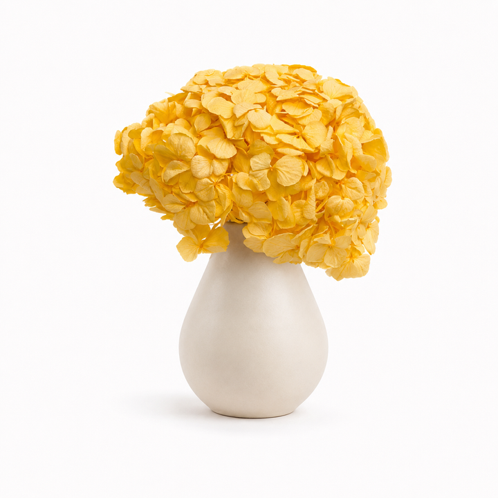Tête Hortensia stabilisé