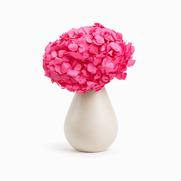 Tête Hortensia stabilisé