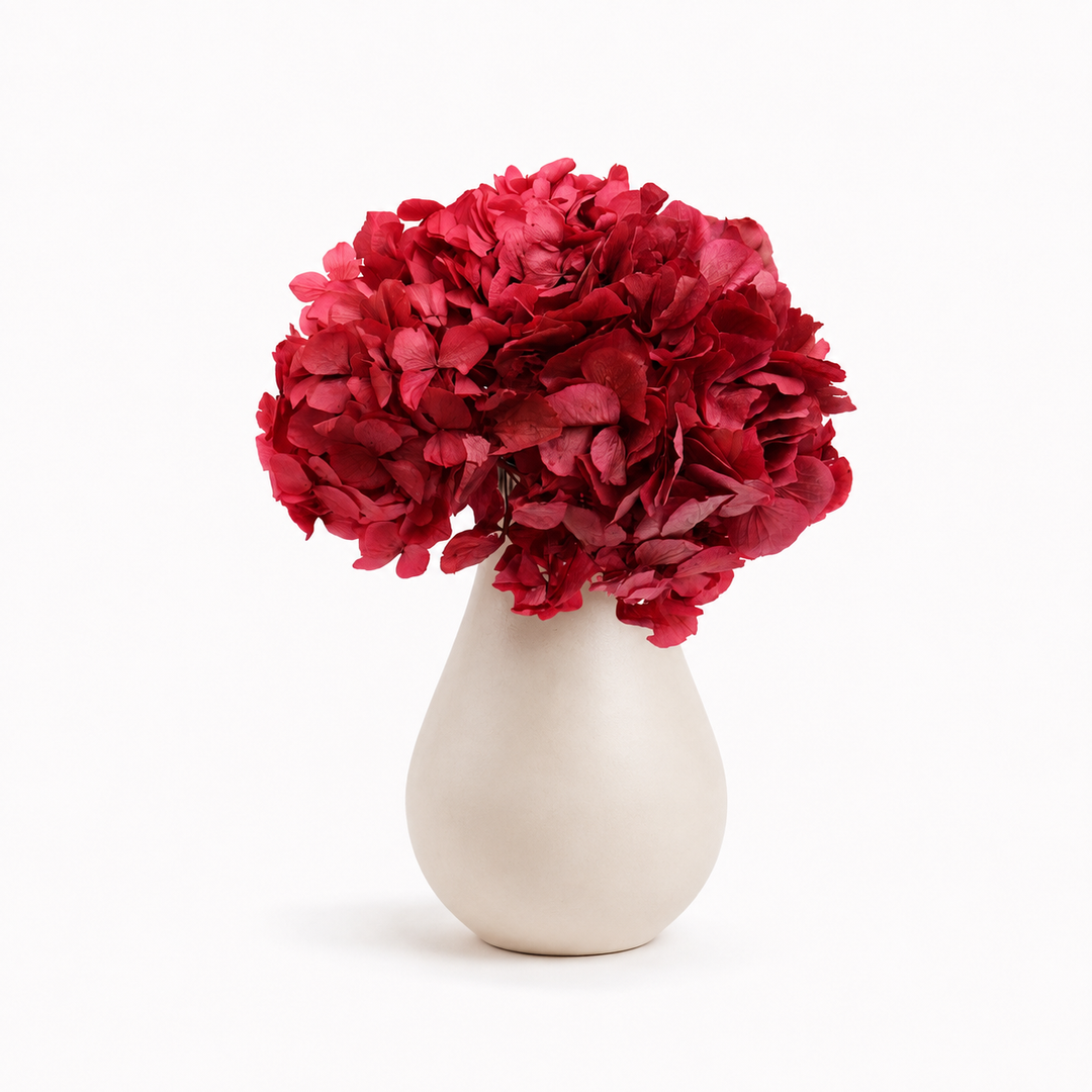 Tête Hortensia stabilisé