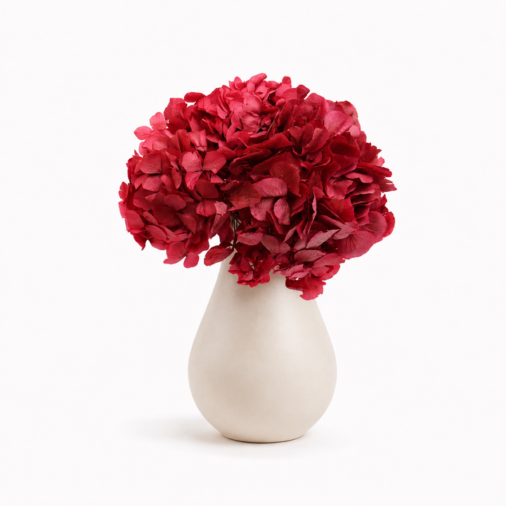 Tête Hortensia stabilisé