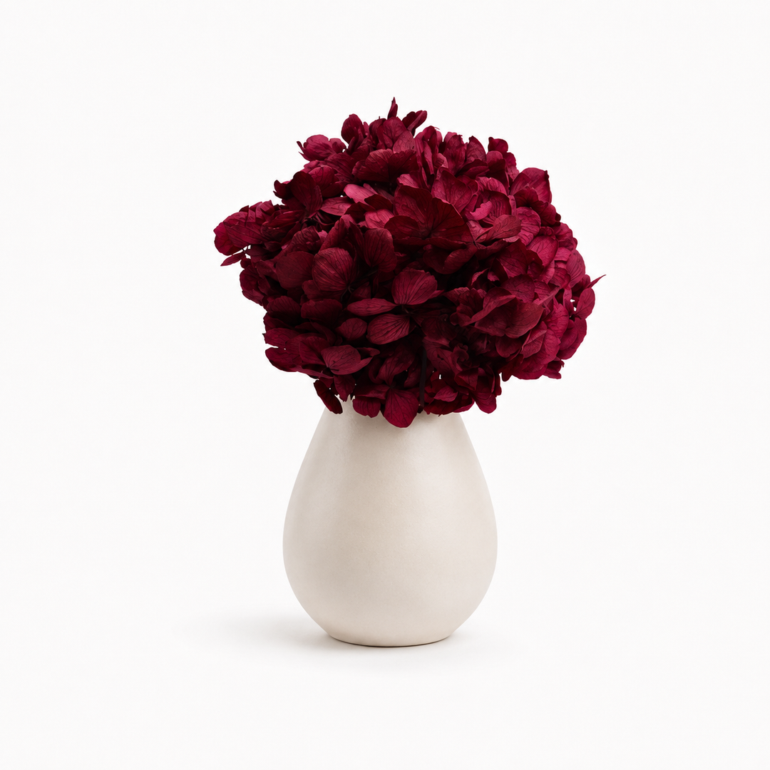 Tête Hortensia stabilisé