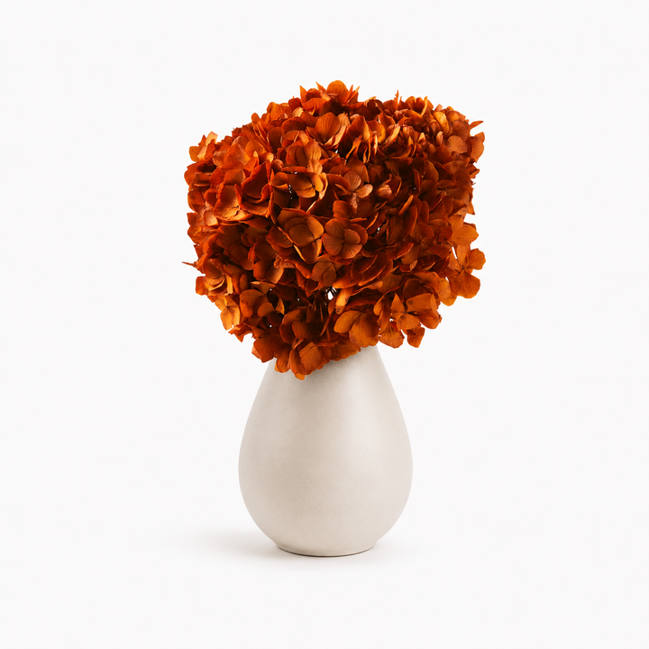 Tête Hortensia stabilisé