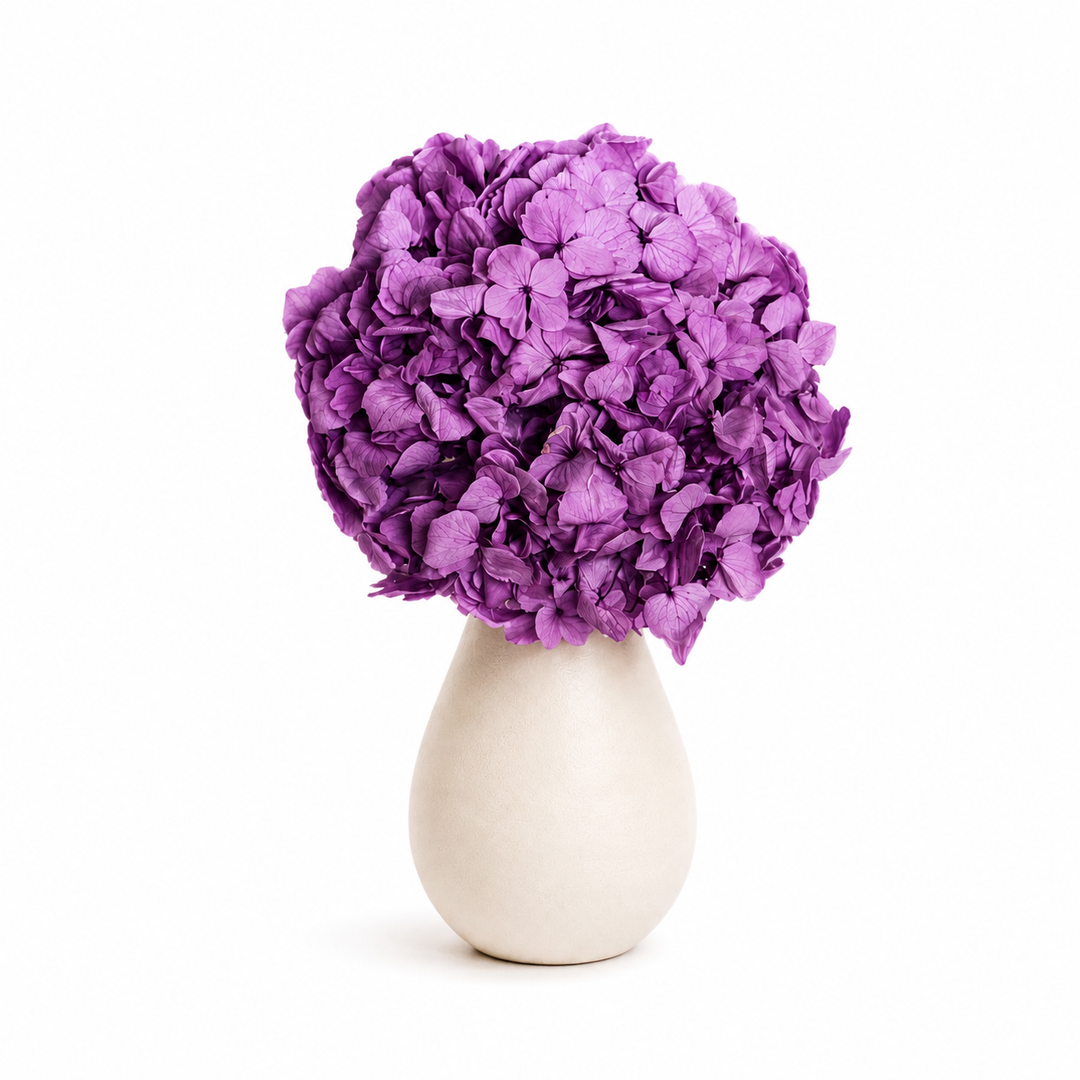 Tête Hortensia stabilisé
