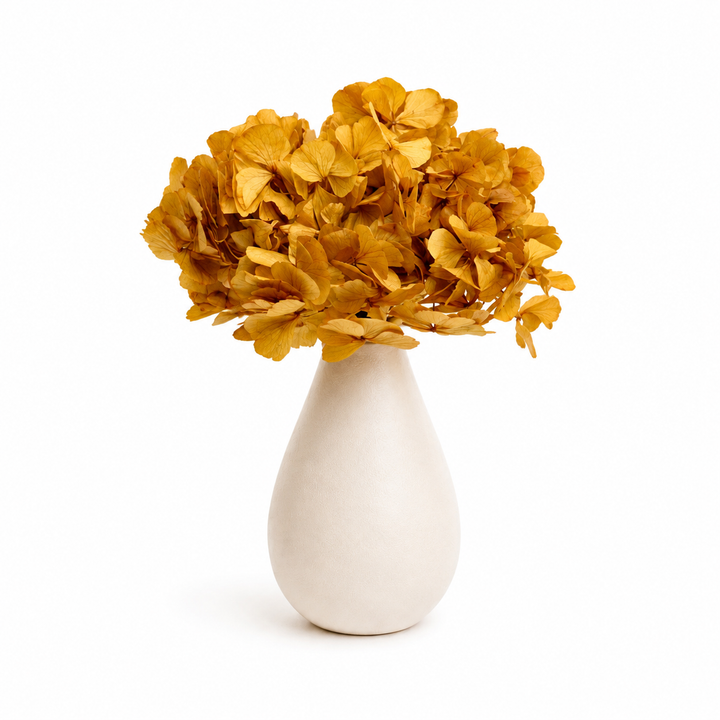 Tête Hortensia stabilisé