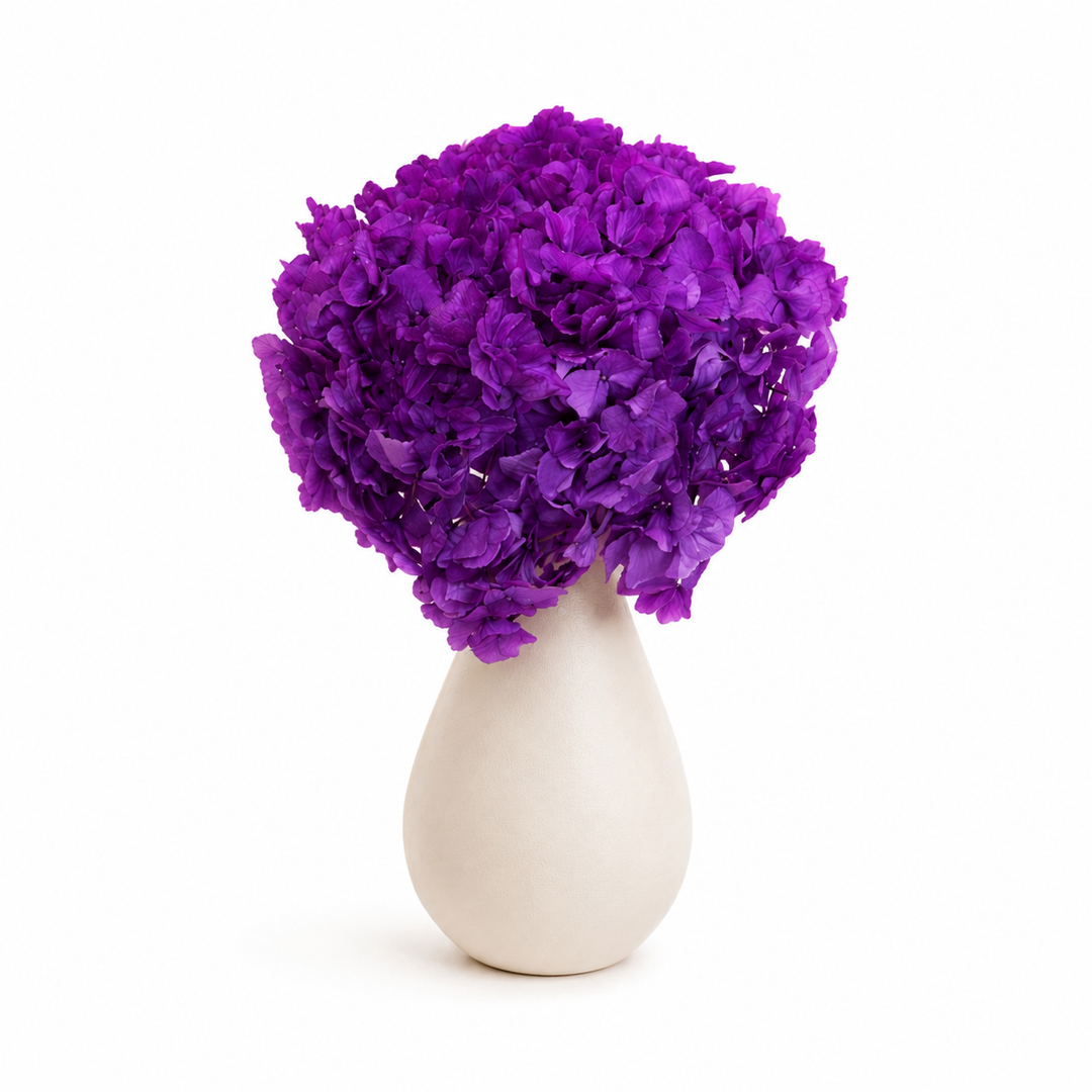 Tête Hortensia stabilisé