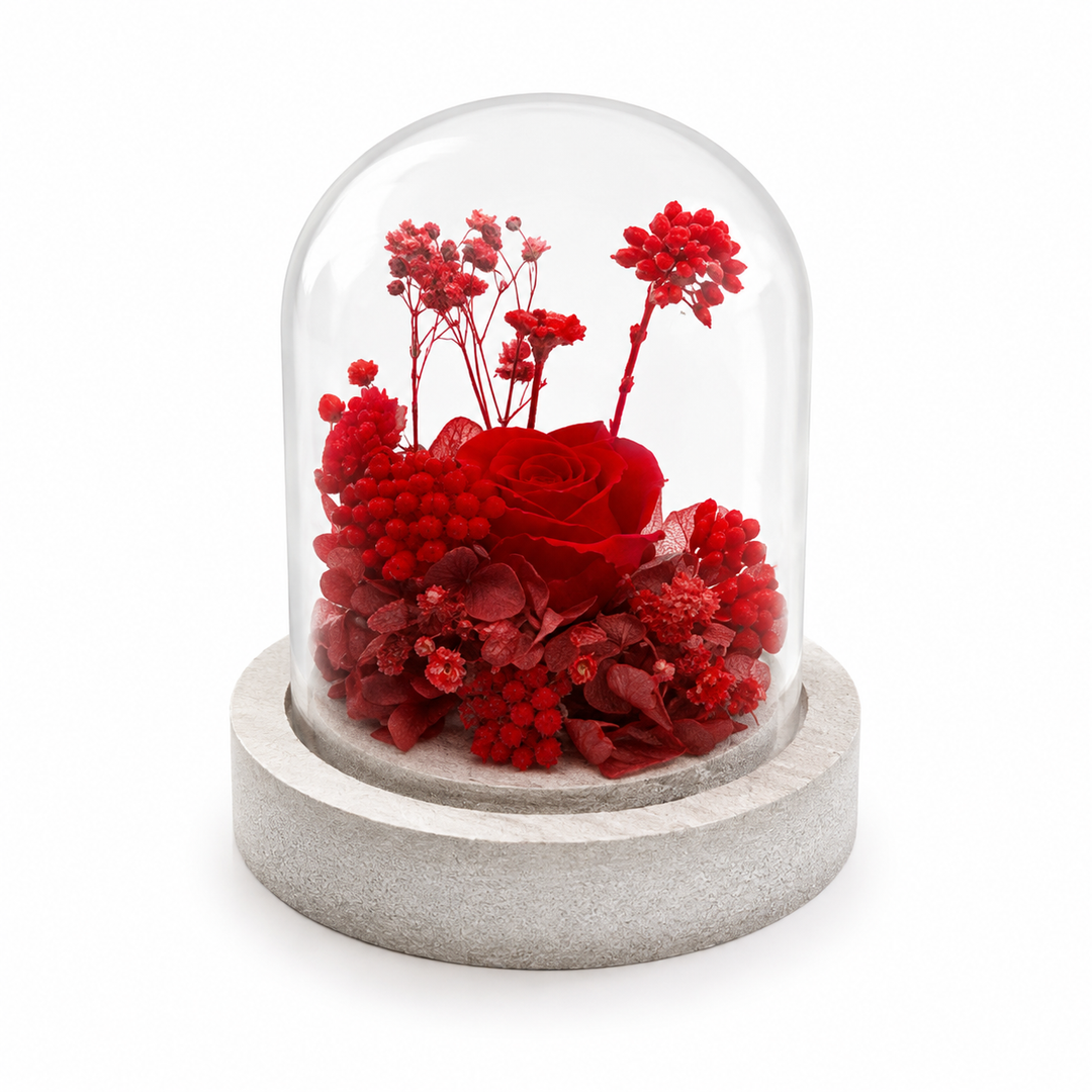 Mini cloche fleurie Rue de Belgrade