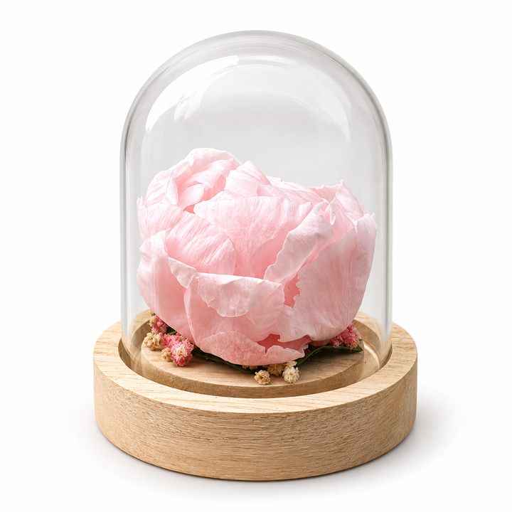 Cloche pivoine
