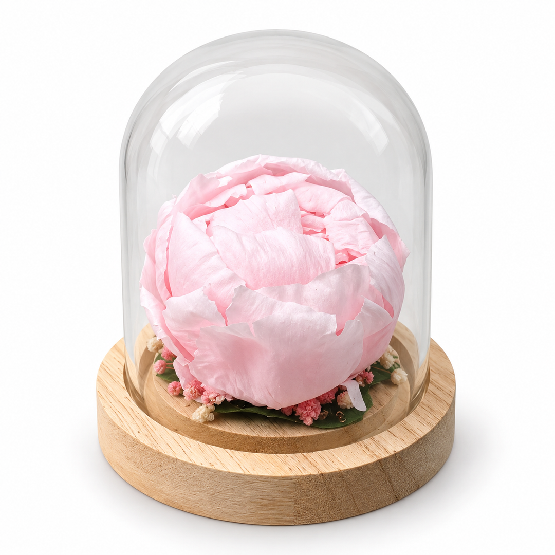 Cloche pivoine