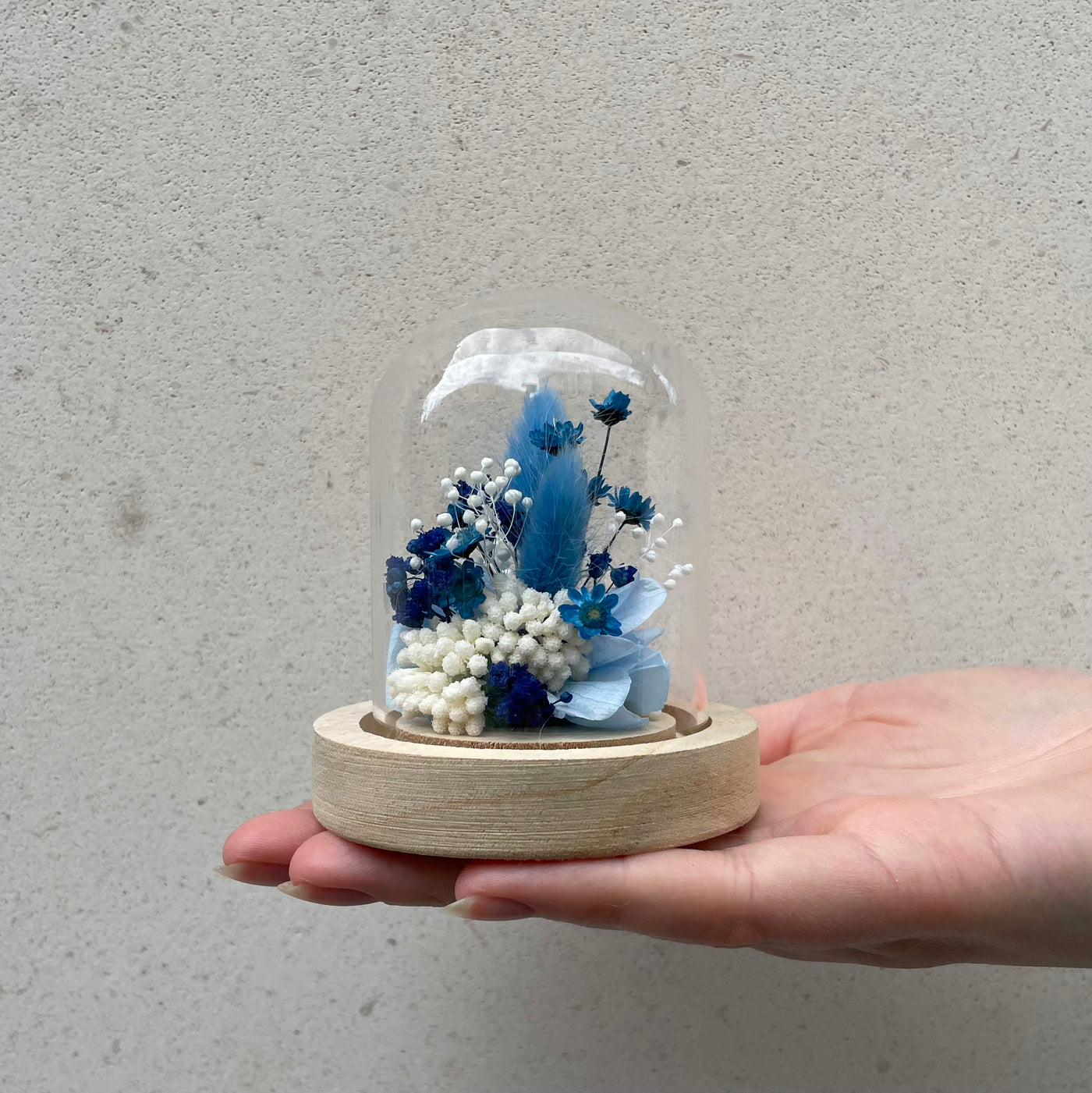Mini cloche Fleur Stabilisée Hortensia | Ateliers Ouchamp