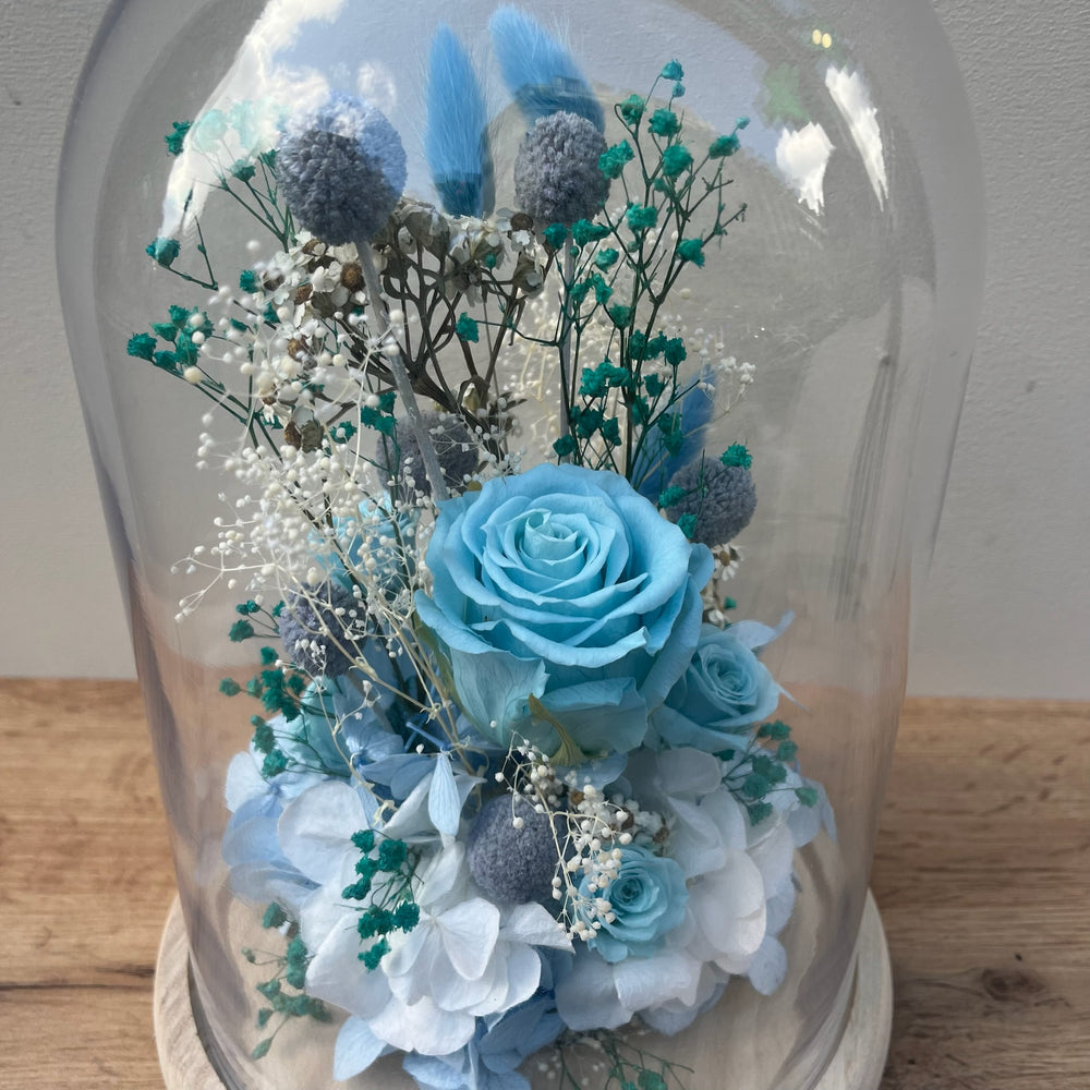 Cloche bleu composé de Rose, Craspedia, Gypsophile Focus