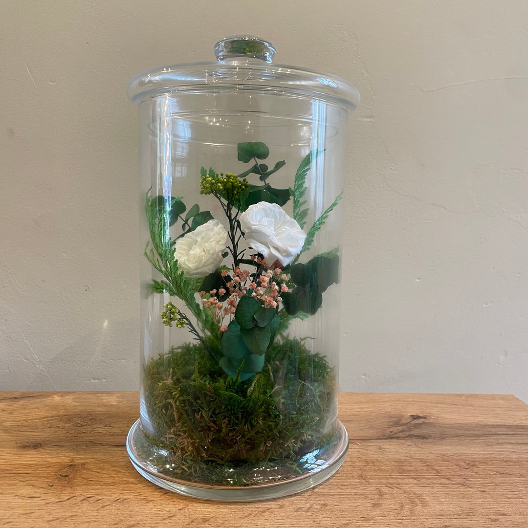 Terrarium L