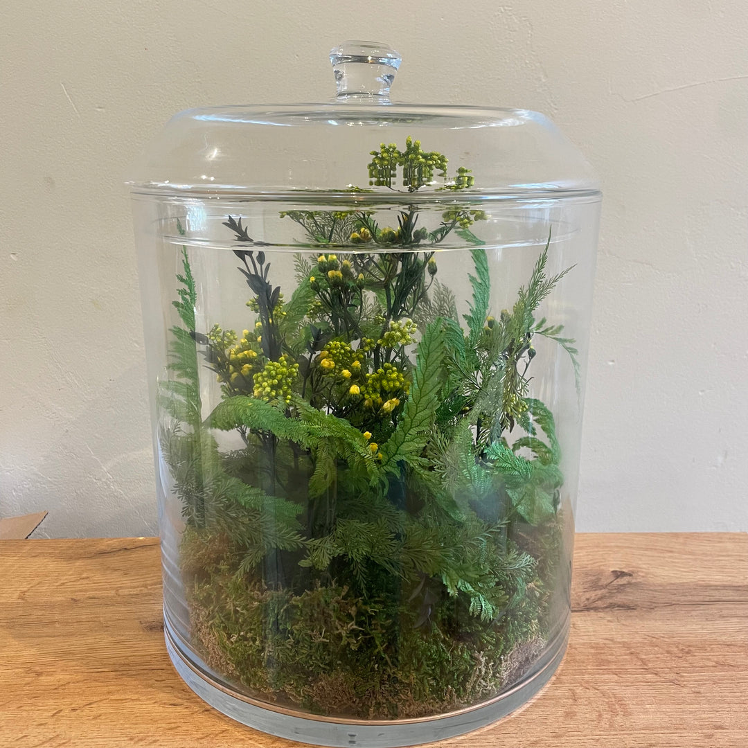 Terrarium XL