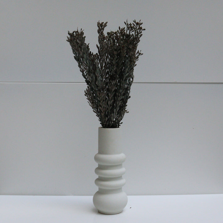 Botte Pubescence Stabilisé