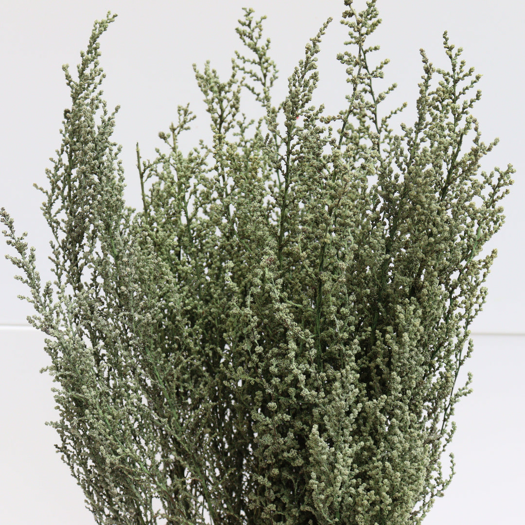 botte stoebe stabilisé vert focus