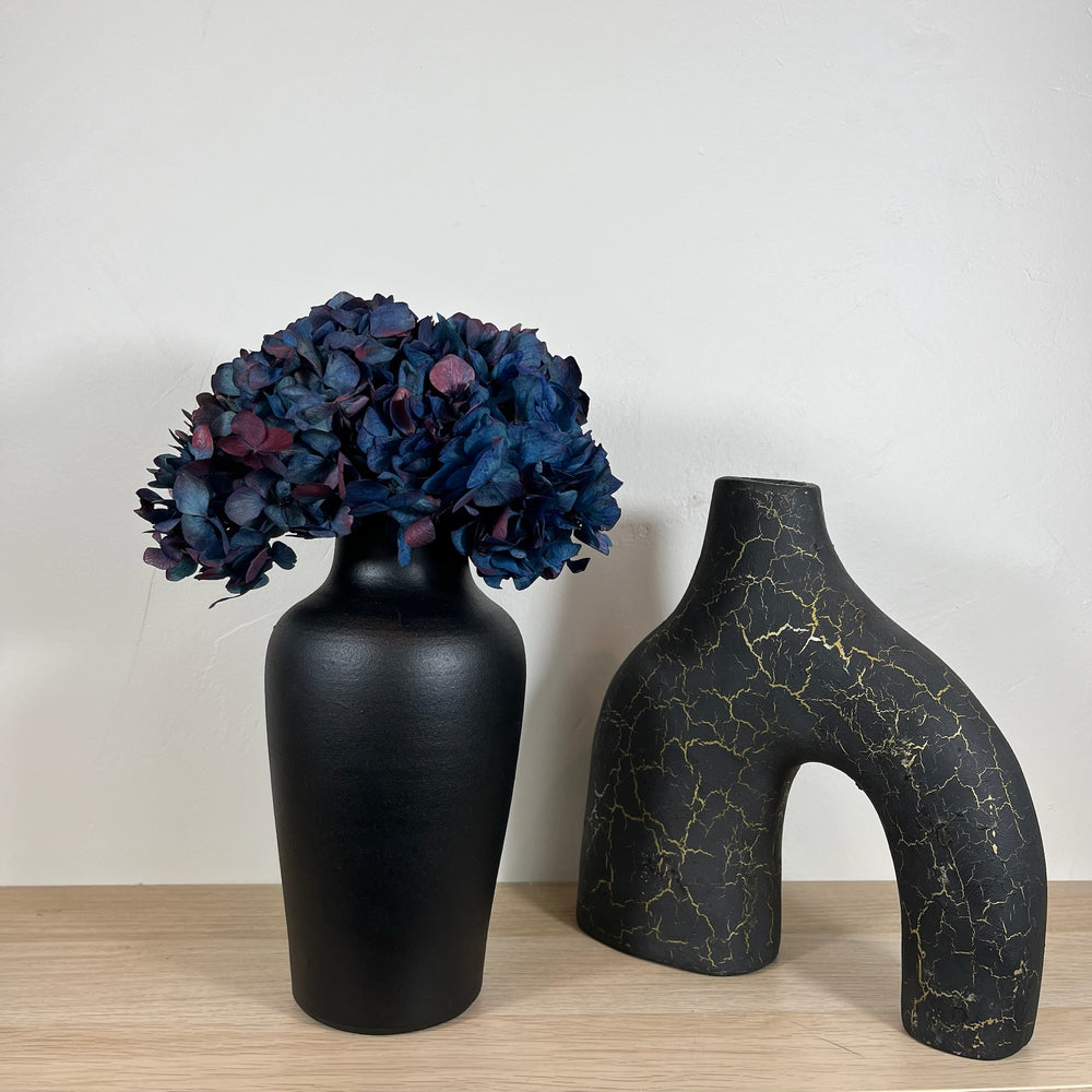 Tete_hortensia_stabilis_bicolore bleu rouge focus