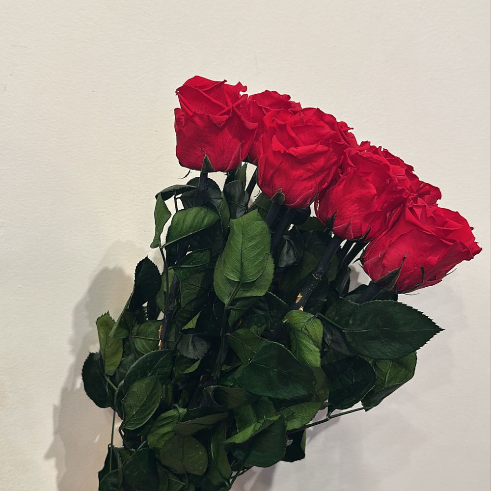 bouquet de roses éternelles coté