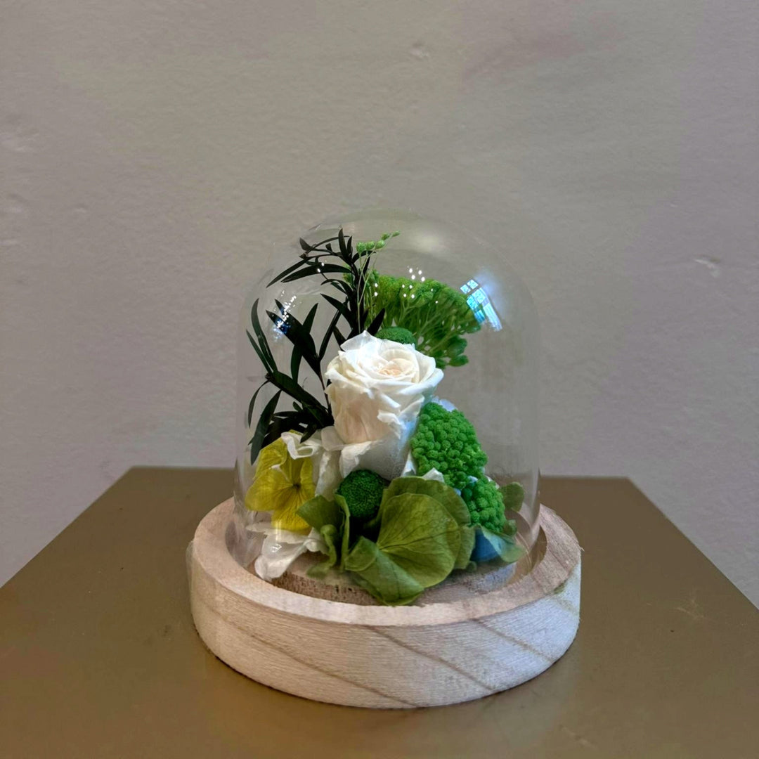 cloche vert rose stabilisée éternelle