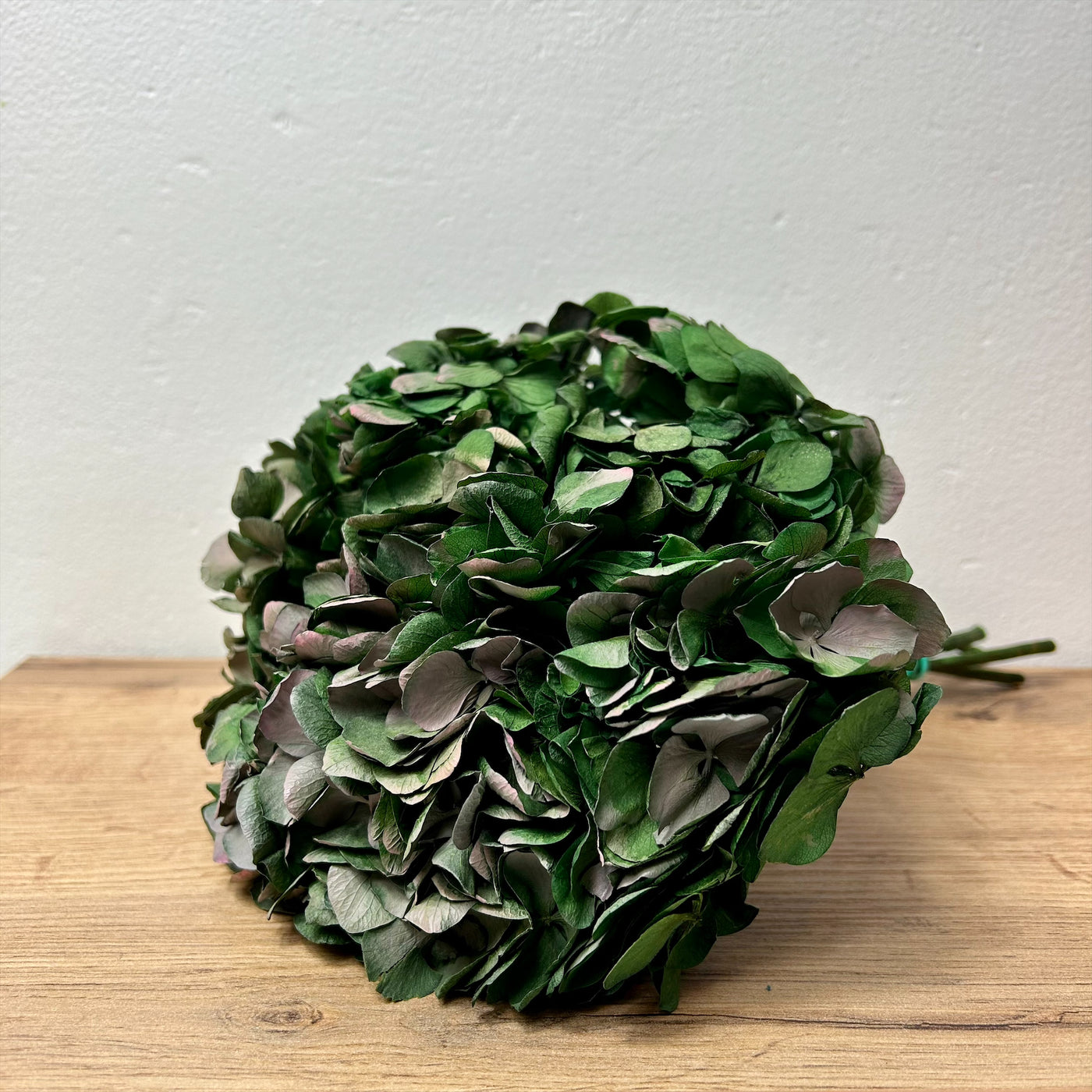 Tête Hortensia stabilisé Bicolore Vert Rose | Ateliers Ouchamp
