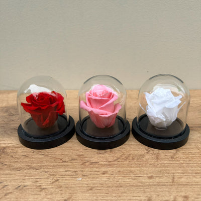 Mini cloche rose stabilisée "Rue des Dames" | Ateliers Ouchamp