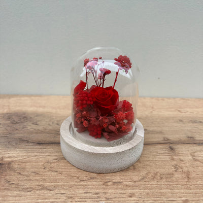 Mini cloche fleurs stabilisées rose "Rue Jenner": ATELIERS OUCHAMP