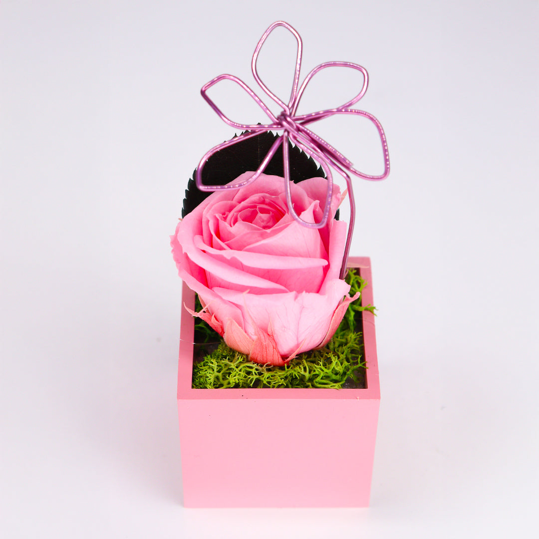 Rose stabilisée avec aimant