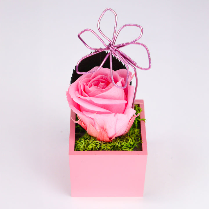 Rose stabilisée avec aimant