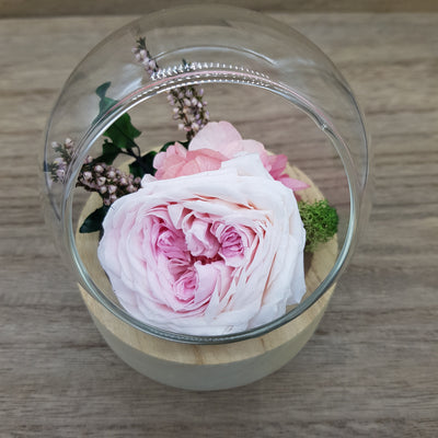 Bulle en fleurs stabilisées éternelles composé de Rose Pivoine, Hortensia, Bruyère, Pitosporum & Lichen. Vu de près