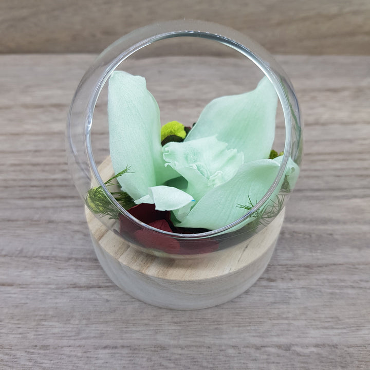 Orchidée Eternelle sous Cloche en verre | Ateliers Ouchamp