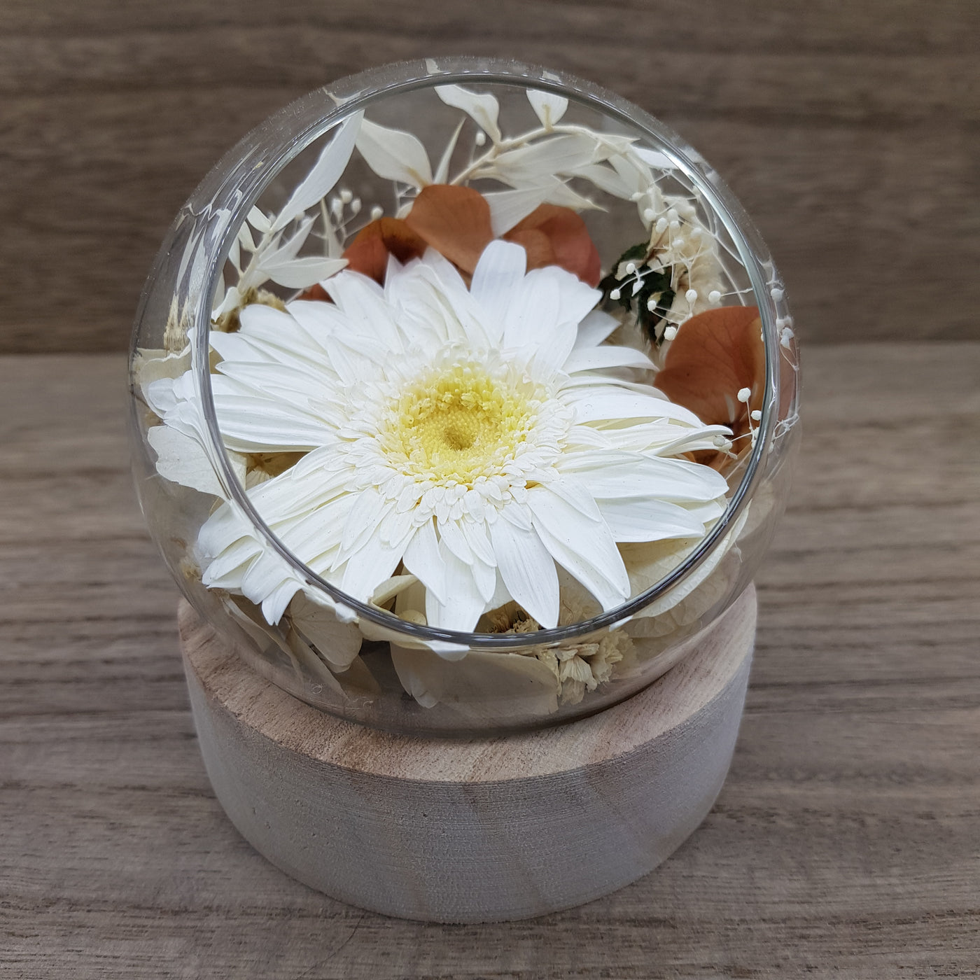 Bulle en fleurs stabilisées éternelles composé de Gerbera blanc, d'hortensia, de ruscus. Vu de face