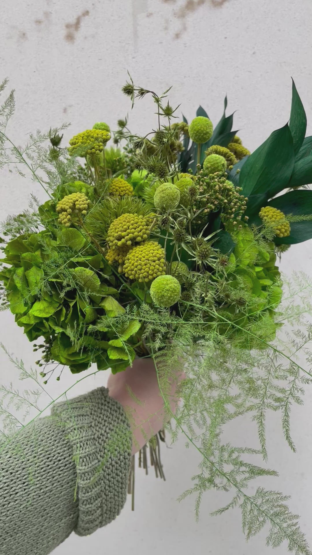 Bouquet de fleurs stabilisées éternelles vert composé d'Hortensia, Chardon Echinops, Chardon, Broom, Craspedia, Achillée, Ruscus, Asparagus. En mouvement