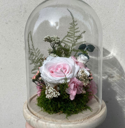 Cloche fait de fleurs stabilisés composé de Rose, Hortensia, Ixodia, Mousse, Asparagus plumosus, Fleur de Riz & Eucalyptus Cinerea. Vu de face