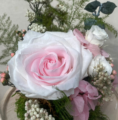 Cloche fait de fleurs stabilisés composé de Rose, Hortensia, Ixodia, Mousse, Asparagus plumosus, Fleur de Riz & Eucalyptus Cinerea. Vu de la rose