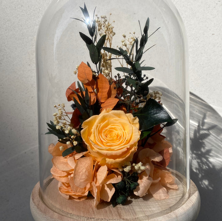 Cloche fleurs stabilisées "Rue de la Harpe" | Ateliers Ouchamp