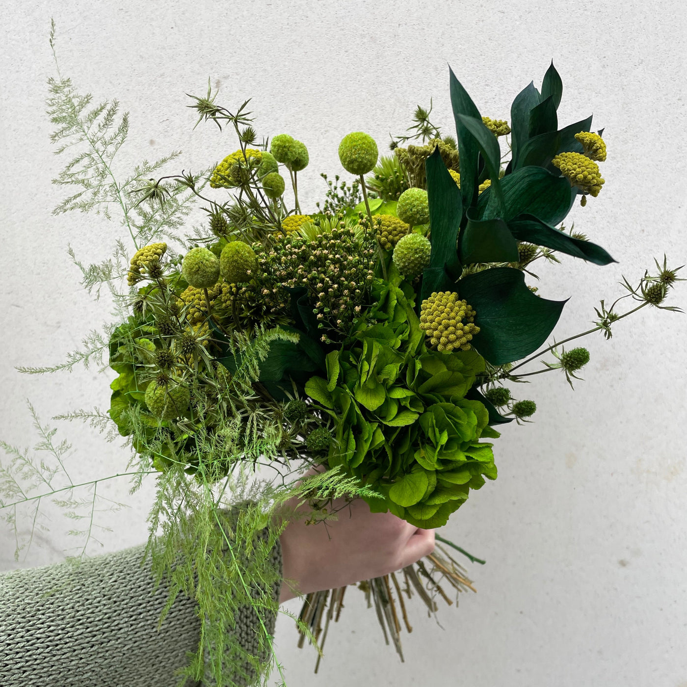 Bouquet de fleurs stabilisées éternelles vert composé d'Hortensia, Chardon Echinops, Chardon, Broom, Craspedia, Achillée, Ruscus, Asparagus. Vue du côté droit