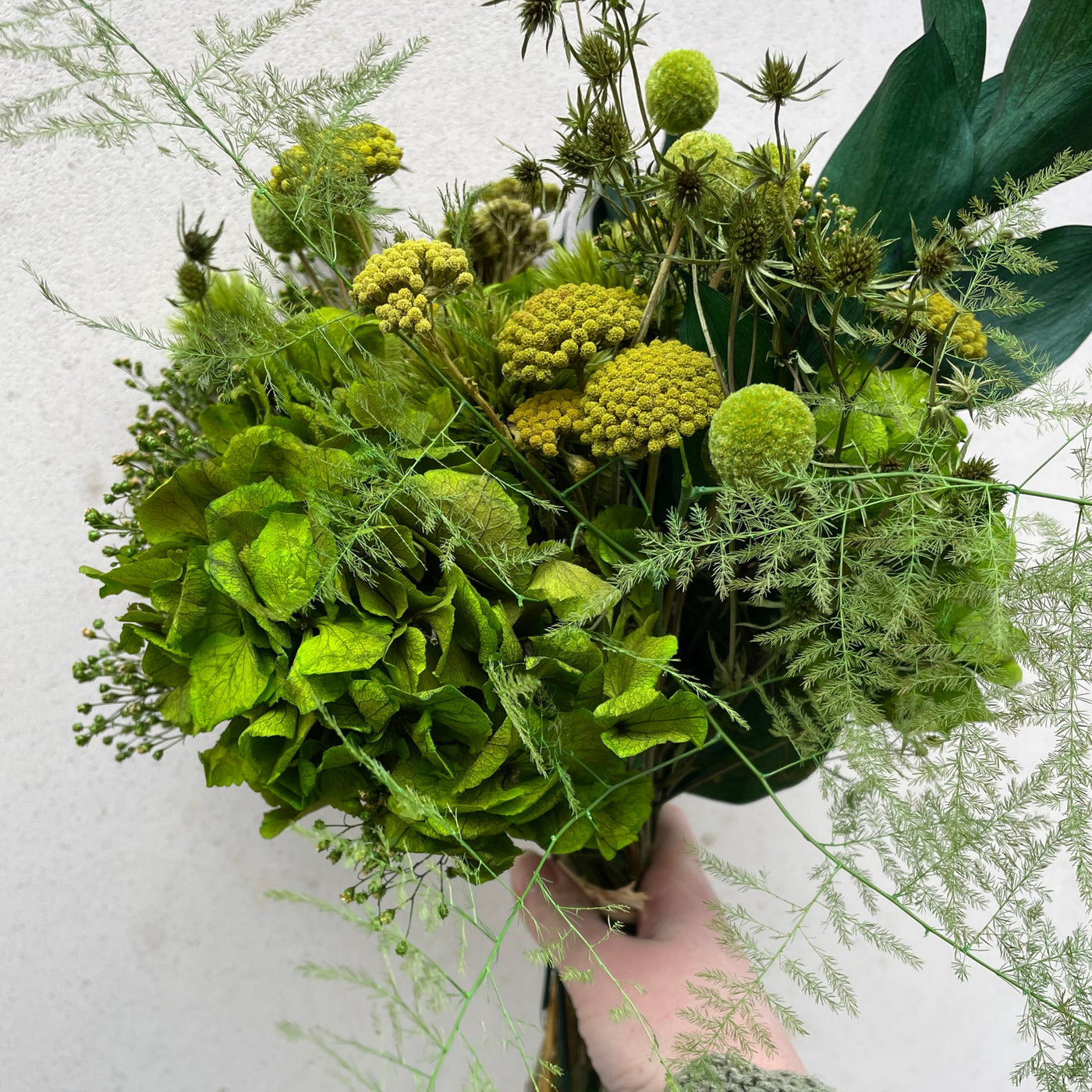 Bouquet de fleurs stabilisées éternelles vert composé d'Hortensia, Chardon Echinops, Chardon, Broom, Craspedia, Achillée, Ruscus, Asparagus. Vue du côté gauche