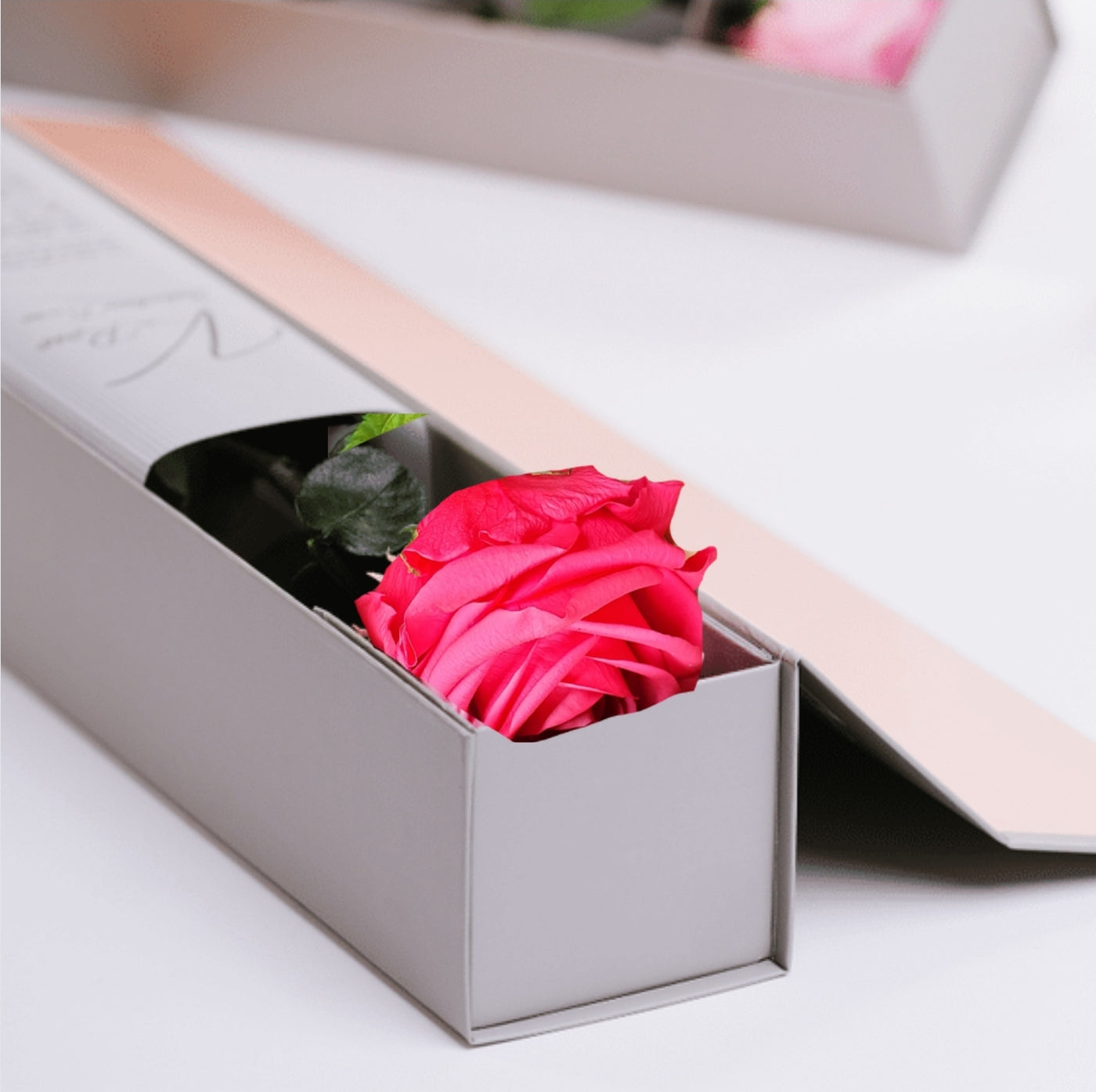 Rose eternelle ou stabilisée rose foncé sur tige dans sa boite Ateliers Ouchamp