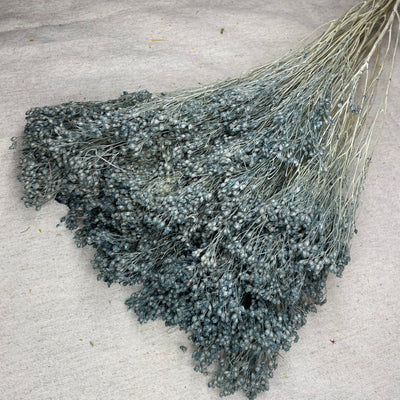 Broom Bleu gris