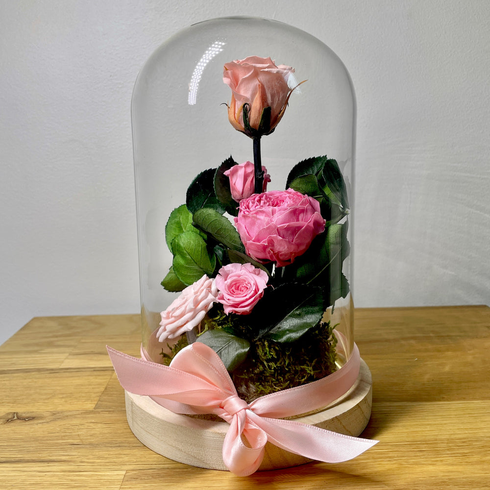 Cloche roses stabilisées rose Ateliers Ouchamp. Vu de face