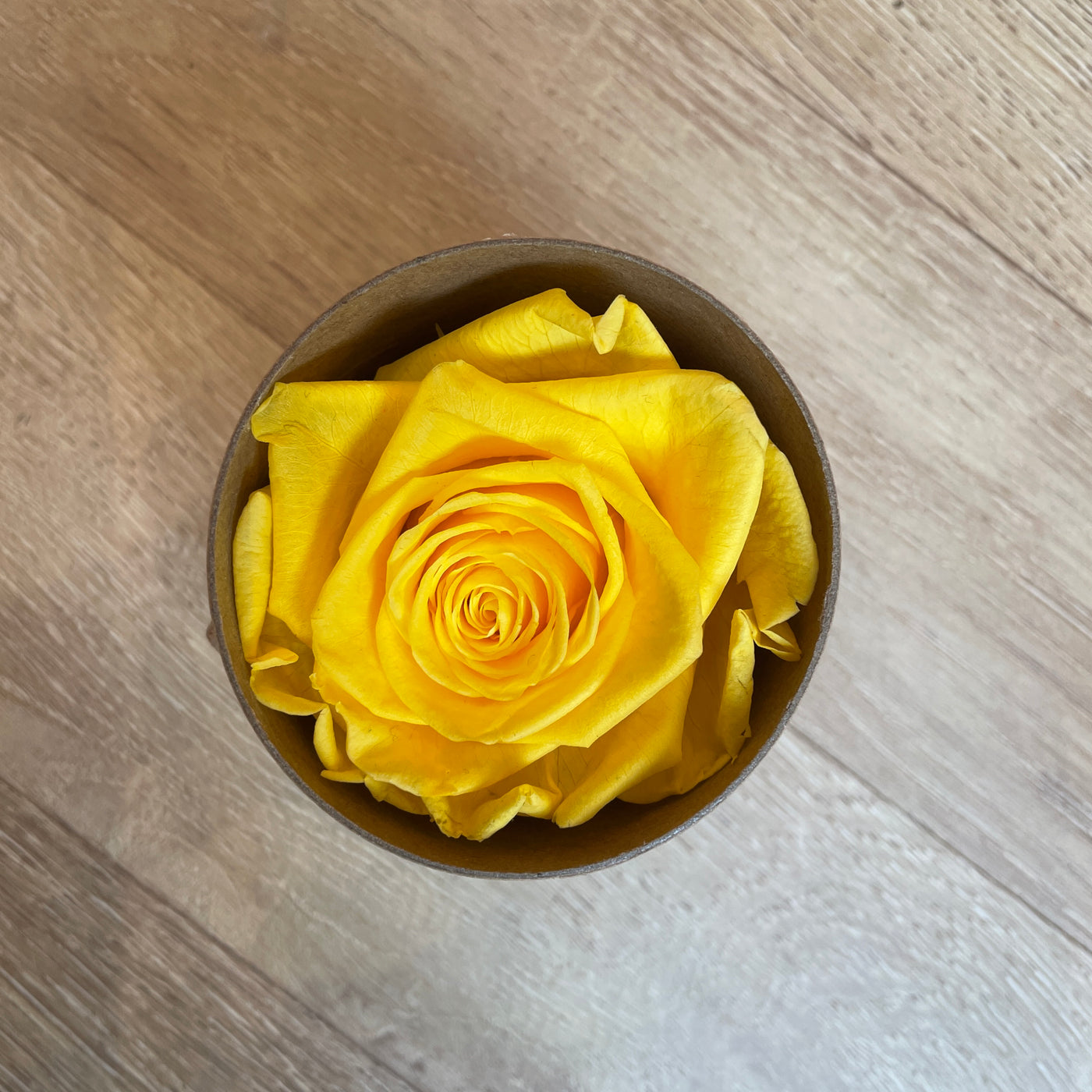 Boite rose stabilisée jaune Ateliers Ouchamp