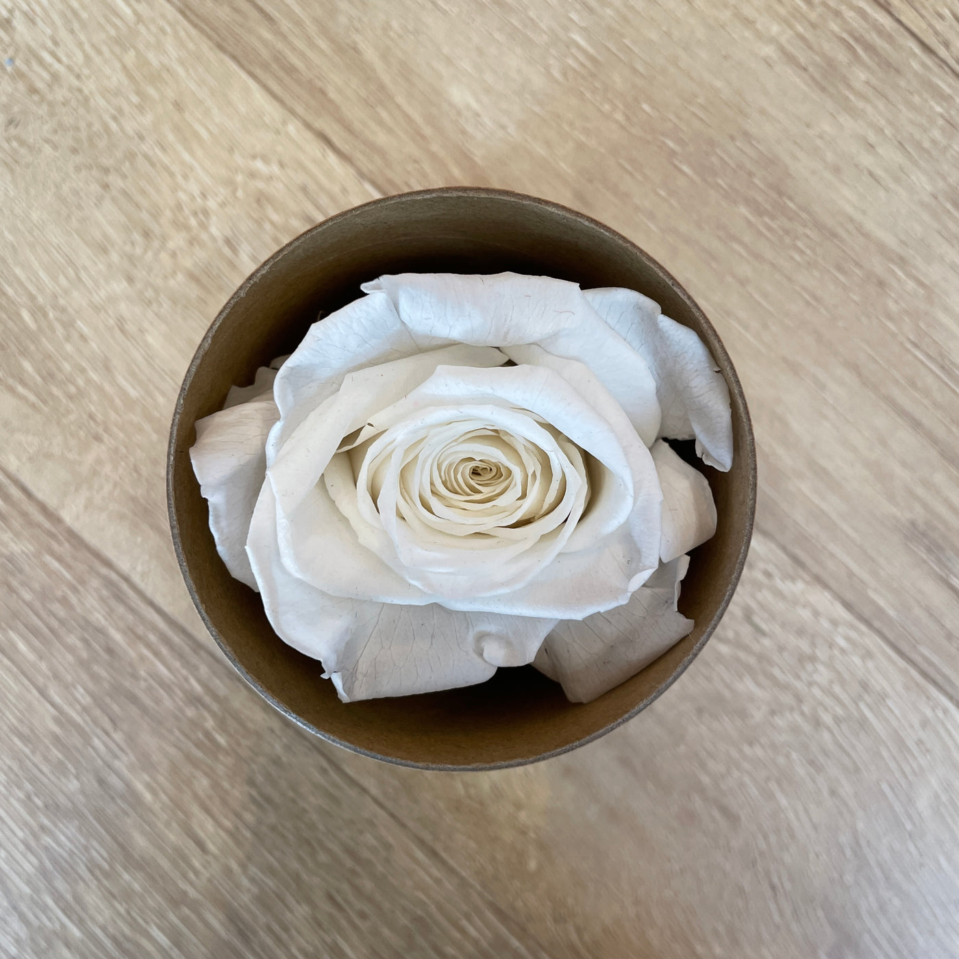 Boite rose stabilisée blanc Ateliers Ouchamp