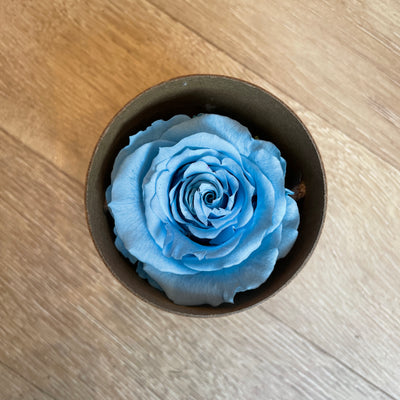 Boite rose stabilisée bleu Ateliers Ouchamp